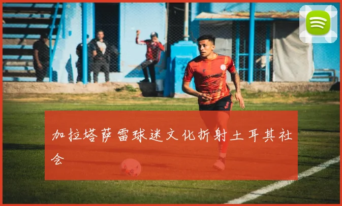 加拉塔萨雷球迷文化折射土耳其社会