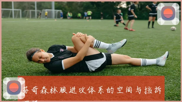 芬奇森林狼进攻体系的空间与挡拆逻辑