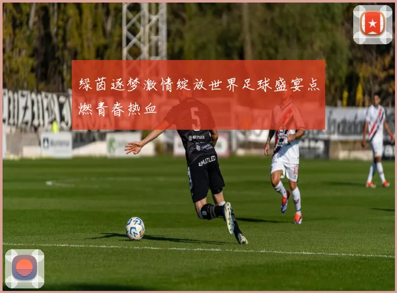 绿茵逐梦激情绽放世界足球盛宴点燃青春热血
